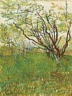 Vincent van Gogh Orchard in Blossom 1 painting